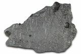 Plate of Four Red Embers Garnets in Graphite - Massachusetts #375806-1